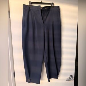 Zara Navy Pants